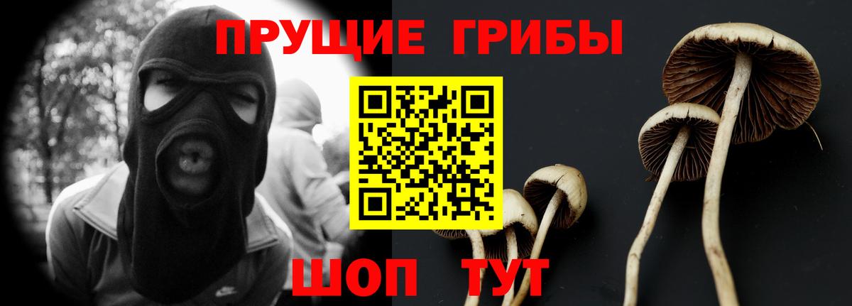 Феодосия  Галлюциногенные грибы GOLDEN TEACHER  Псилоцибиновые грибы Cubensis  Вход с VPN 